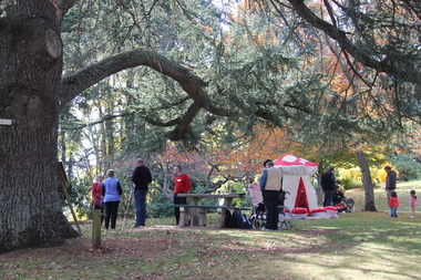 Digital photographs, Wombat Hill Botanic Gardens 150 anniversary event Daylesford crowd, 2013