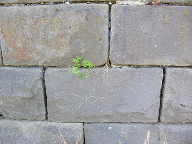 Photograph - Colour, Stonemason's Mark, Yarrowee Channel, Ballarat, Victoria, Australia, 2017