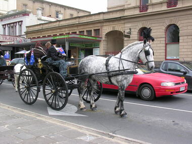 Photograph - Photograph - Colour, Horses at Ballarat Heritage Weekend, 2013, 2013