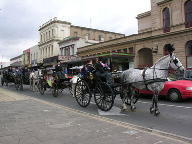 Photograph - Colour, Horses at Ballarat Heritage Weekend 2013