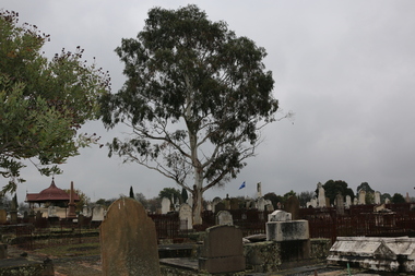 Photograph - Colour, Eureka Flag Flying on Eureka Graves, Ballarat Old Cemetery, 2017