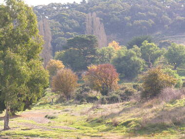 Photograph - Colour, Agitation Hill, Chewton, 2011