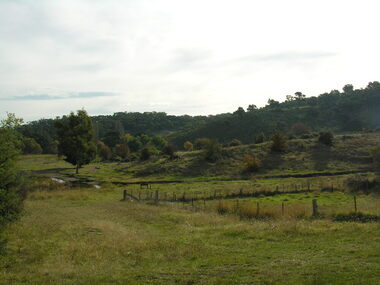 Photograph - Photograph - Colour, Agitation Hill, Chewton, 2011, 2011