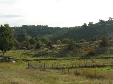 Photograph - Photograph - Colour, Clare Gervasoni, Agitation Hill, Chewton, 2011, 2011