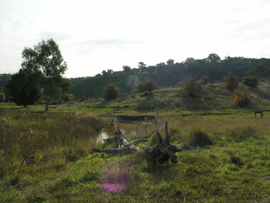 Photograph - Colour, Agitation Hill, Chewton, 2011, 2011