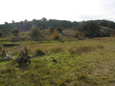 Photograph - Colour, Agitation Hill, Chewton, 2011, 2011