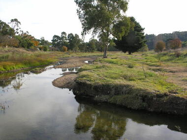 Photograph - Colour, Agitation Hill, Chewton, 2011, 2011