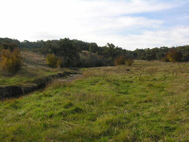 Photograph - Colour, Agitation Hill, Chewton, 2011, 2011