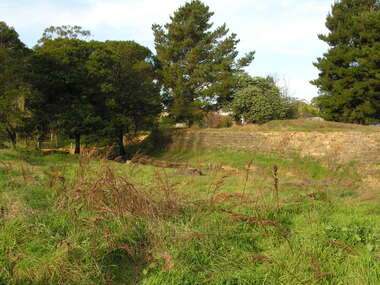 Photograph - Colour, Bluestone wall on channel, Agitation Hill, Chewton, 2011, 2011