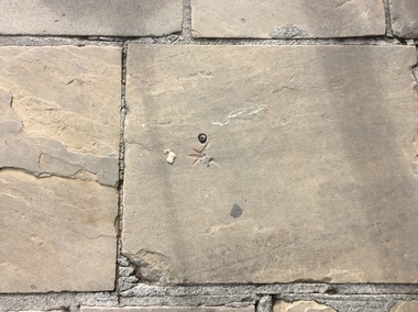 Photograph - Colour, Stonemasons mark, Durham, England