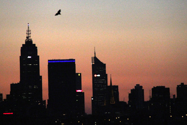 Digital Photograph, L.J. Gervasoni, Bats flying Melbourne CBD sunset, c2015