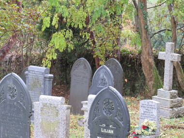 Photograph - Colour, Churchyard, Alwington, Devon, England