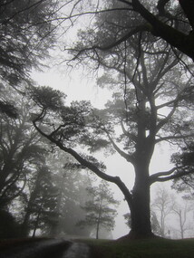 Photograph - Digital photographs, L.J. Gervasoni, Wombat Hill in the Fog, c2015