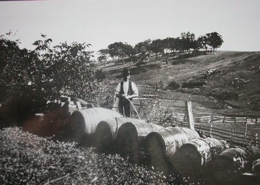 A man hoses wine barrells