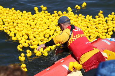 Digital photographs, L.J. Gervasoni, Moyneyana Ducks, c2013