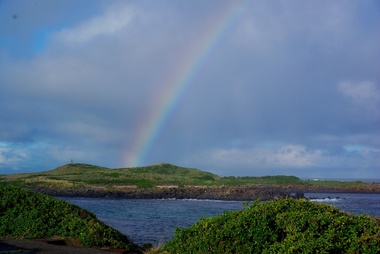 Digital photographs, L.J. Gervasoni, Griffith Island, Port Fairy, c2013