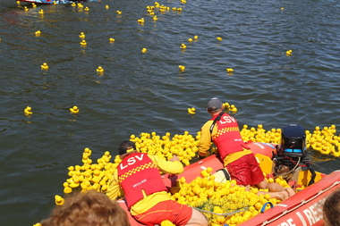 Digital photographs, L.J. Gervasoni, getting the ducks back in the boat, c2013