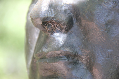 Photograph - Digital photographs, L.J. Gervasoni, Howard's nose, c2017