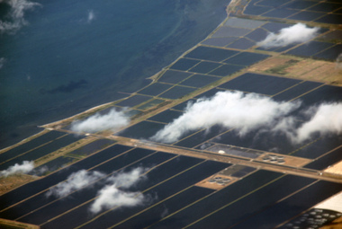 Digital photographs, Werribee farm from the air, c2016
