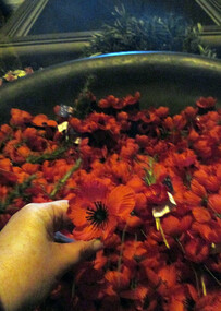Digital photographs, L.J. Gervasoni, ANZAC Day at the Shrine - poppy for Marcus, 2014