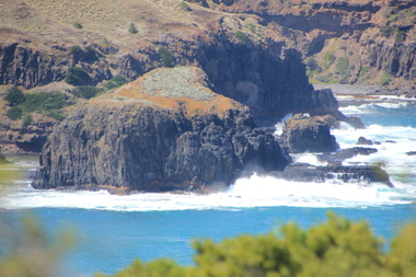 Digital photographs, L.J. Gervasoni, Elephant Rock Bushrangers Bay, 2016