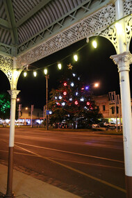 Photograph - Digital photographs, L.J. Gervasoni, Sturt Street Gardens Christmas Tree, 2015