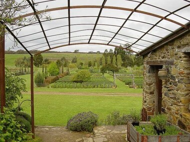 Photograph - Photograph - Colour, Clare Gervasoni, Lavendula, Shepherd's Flat