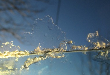 Digital photographs, L.J. Gervasoni, Frozen Window, c2006