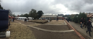 Photograph - Colour, Clare Gervasoni, Clunes Book Town, 2016, 19/09/2016