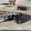 Railway at Turntable at Ballarat East 