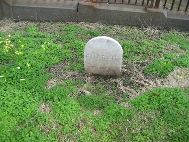 Photograph - Colour, Clare Gervasoni, Childrens Headstones, Warrnambool Cemetery, 27/07/2009