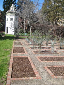 Photograph - Colour, Clare Gervasoni, University of Melbourne System Garden, 2010, 29/09/2010