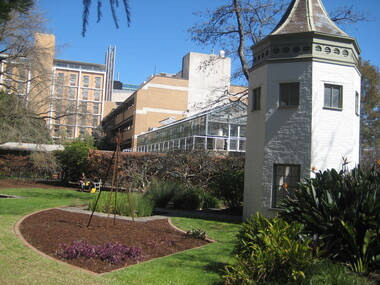 Photograph - Colour, University of Melbourne System Garden, 2010, 29/09/2010