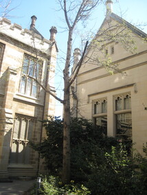 Photograph - Colour, Clare Gervasoni, University of Melbourne Old Physics Building, 2010, 29/09/2010