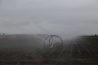 Irrigation at Omeo