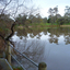 Image of Old Skipton Pre Olympic Swimming Pool - a lake pool with gum tree shadows
