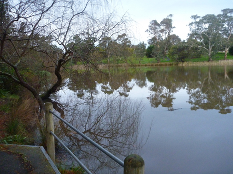 Image of Old Skipton Pre Olympic Swimming Pool - a lake pool with gum tree shadows