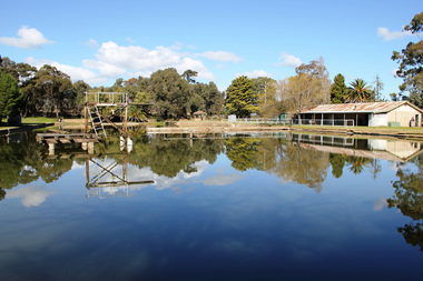 Photograph - digital photographs, Lisa Gervasoni, St Arnaud Pre Olypmic Swimming Pool, 2010 - 2017