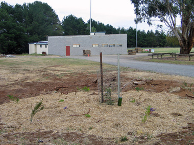 Laurie Sullivan's Wollemi Pine Memorial at the Laurie Sullivan Reserve, Hepburn