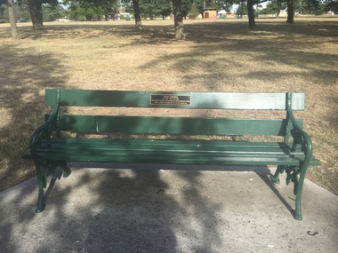 Photograph - Photograph - Colour, Vivian Bullwinkle Chair, Ballarat Gardens, 2017, 2017