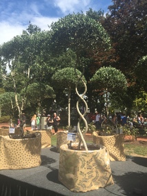 Photograph - Colour, Topiary during the Ballarat Begonia Festival, 2017, 2017