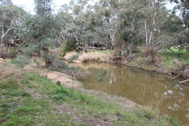 River at Avoca