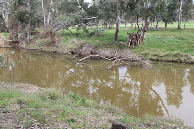 Photograph - Colour, L.J. Gervasoni, River at Avoca, 2011, 06/08/2011