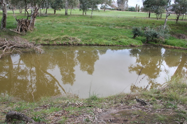 Photograph - Colour, L.J. Gervasoni, River at Avoca, 2011, 06/08/2011