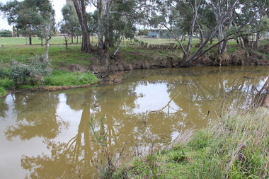 Photograph - Colour, L.J. Gervasoni, River at Avoca, 2011, 06/08/2011