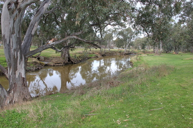 Photograph - Colour, L.J. Gervasoni, River at Avoca, 2011, 06/08/2011