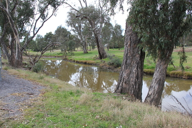Photograph - Colour, L.J. Gervasoni, River at Avoca, 2011, 06/08/2011