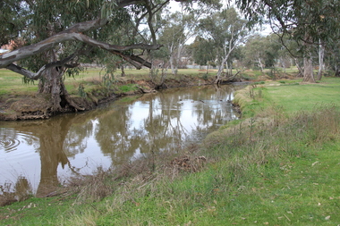 Photograph - Colour, L.J. Gervasoni, River at Avoca, 2011, 06/08/2011