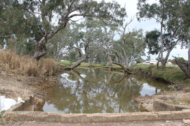 Photograph - Colour, L.J. Gervasoni, River at Avoca, 2011, 06/08/2011