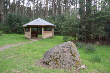 Photograph, Cumberland Memorial Scenic Reserve, 2014, 04/11/2014